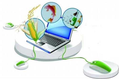 農(nóng)業(yè)CEO的數(shù)字化視野 未來農(nóng)業(yè)的數(shù)據(jù)處理服務(wù)革新之路